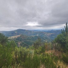 Laura Whyms - Camino de Santiago - Camino Francés (Spain)