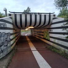 Krijn Bustraan - Hertog Hendrikpad (Netherlands)