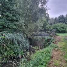 Krijn Bustraan - Hertog Hendrikpad (Netherlands)