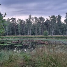 Krijn Bustraan - Hertog Hendrikpad (Netherlands)