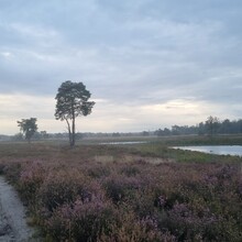 Krijn Bustraan - Hertog Hendrikpad (Netherlands)