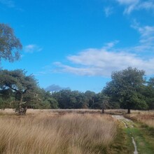 Krijn Bustraan - Hertog Hendrikpad (Netherlands)