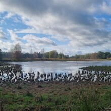 Krijn Bustraan - Hertog Hendrikpad (Netherlands)