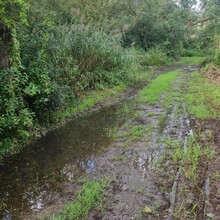 Krijn Bustraan - Hertog Hendrikpad (Netherlands)