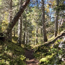 Aurelien ROUX FOUILLET - Traversée Intégrale du Vercors GR51 (France)