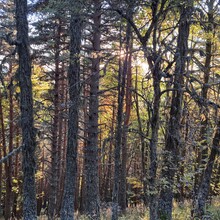 Aurelien ROUX FOUILLET - Traversée Intégrale du Vercors GR51 (France)