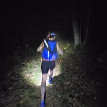 Teresa Bowser - Project Untamed 100 (NC)