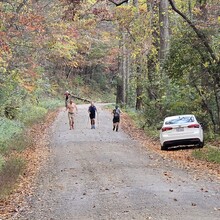 Teresa Bowser - Project Untamed 100 (NC)