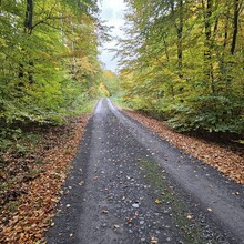 David Brümmer - Himmelsscheibenradweg