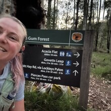 Marion Whitehead - Passes of the Upper Grose Valley