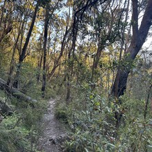 Marion Whitehead - Passes of the Upper Grose Valley