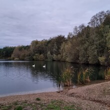 Krijn Bustraan - LAW Nationaal Park Hoge Kempen (New version 2022) (Belgium)