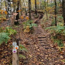 Krijn Bustraan - LAW Nationaal Park Hoge Kempen (New version 2022) (Belgium)