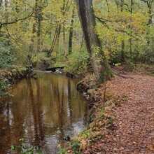 Krijn Bustraan - LAW Nationaal Park Hoge Kempen (New version 2022) (Belgium)