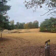 Krijn Bustraan - LAW Nationaal Park Hoge Kempen (New version 2022) (Belgium)