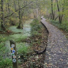Krijn Bustraan - LAW Nationaal Park Hoge Kempen (New version 2022) (Belgium)