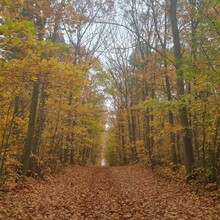 Krijn Bustraan - LAW Nationaal Park Hoge Kempen (New version 2022) (Belgium)
