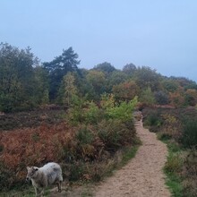 Krijn Bustraan - LAW Nationaal Park Hoge Kempen (New version 2022) (Belgium)