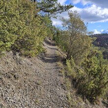 David Brümmer - Jena Kernberge Trail