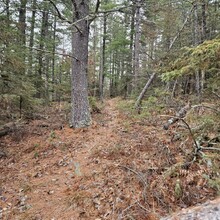 Tyler Firkus - Herriman Lake Trails Loop (MN)