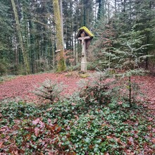 Armin Eichenhofer - Wolfacher Dreierlei