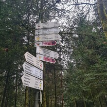 Armin Eichenhofer - Wolfacher Dreierlei