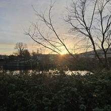 David Brümmer - Grüne Hauptwege Berlin: Weg 17 - Teltowkanalweg