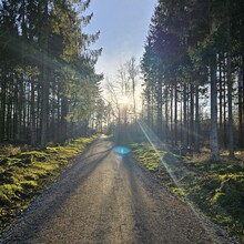 David Brümmer - Jakobsweg: Freiberg - Chemnitz (Germany)