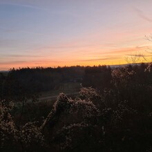 Armin Eichenhofer - Turmbergweg HW54