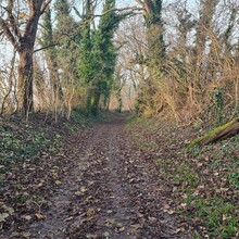 Armin Eichenhofer - Turmbergweg HW54