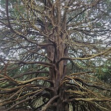 Helen Treadgold, Daniela Pontonutti, Beth Carter, Matt du Cros - Box Hill Round (United Kingdom)