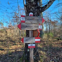 Andrea Picchi - Borghi e Colline (Italy)