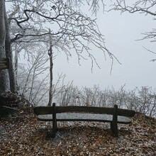 David Brümmer - Grünes Band Trail