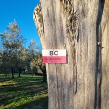 Andrea Picchi - Borghi e Colline (Italy)
