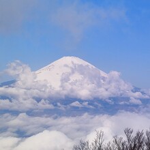 Pavel Krokovny - Tokyo Pilgrimage Trail