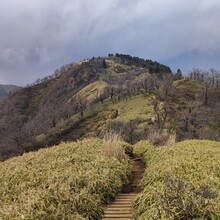 Pavel Krokovny - Tokyo Pilgrimage Trail