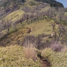 Pavel Krokovny - Tokyo Pilgrimage Trail