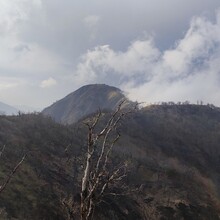 Pavel Krokovny - Tokyo Pilgrimage Trail
