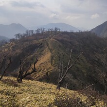 Pavel Krokovny - Tokyo Pilgrimage Trail