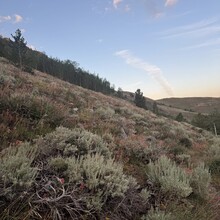 Greg Saunders - Toiyabe Crest Trail