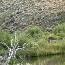 Greg Saunders - Toiyabe Crest Trail