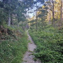  - Pioneer Women's Walking Trail