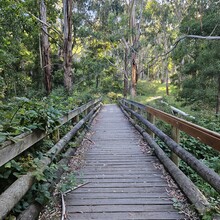  - Pioneer Women's Walking Trail