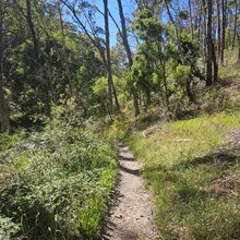  - Pioneer Women's Walking Trail