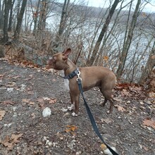 Walker Yane - Lewis Trail (MO)