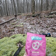 Grayce Langheine - Allegheny Front Trail (PA)