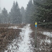 Grayce Langheine - Allegheny Front Trail (PA)