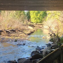 Matthew De Witt - Springwater Corridor (OR)