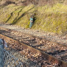 Matthew De Witt - Springwater Corridor (OR)