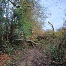 Yann Le Pihiff - GR de Pays - Tour du Val de Saire (France)